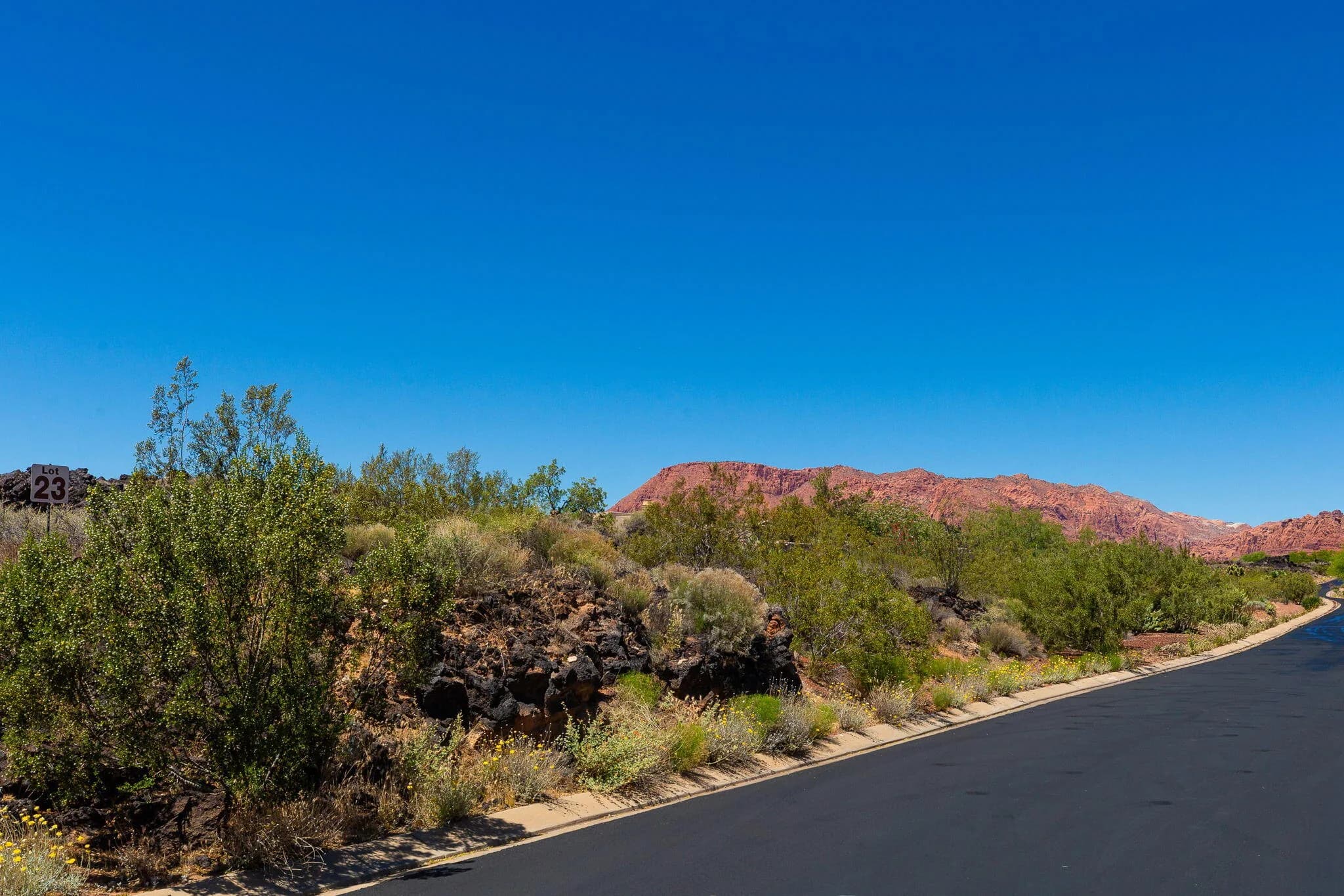 2237 Chaco Trail Lot #23 - Photo 6
